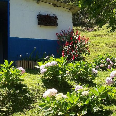 Kitnet Em Meio A Mata Atlantica Juquitiba Dış mekan fotoğraf