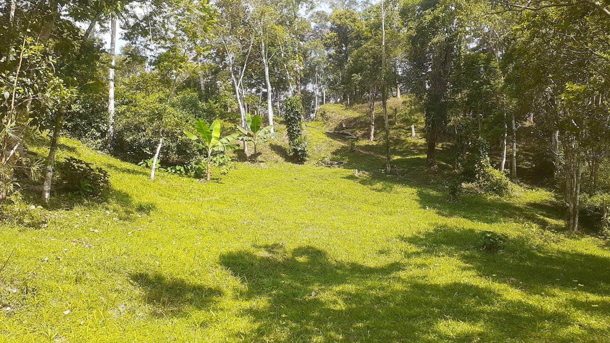 Kitnet Em Meio A Mata Atlantica Juquitiba Dış mekan fotoğraf